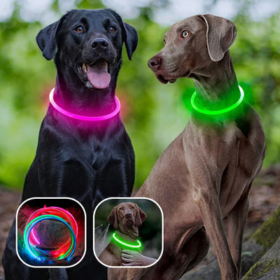 Collier-pour-chien-Luminus™-Duo
