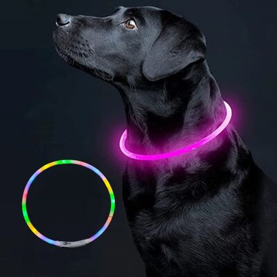 Collier-pour-chien-Luminus™-Coloré