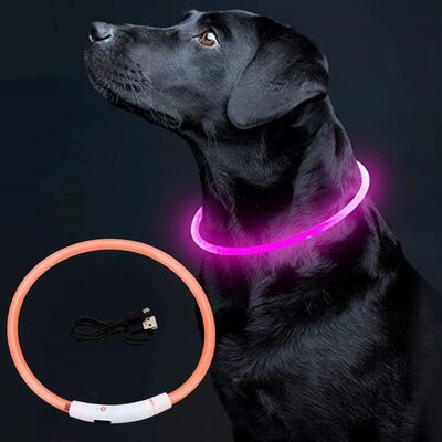 Collier-pour-chien-Luminus™-Orange