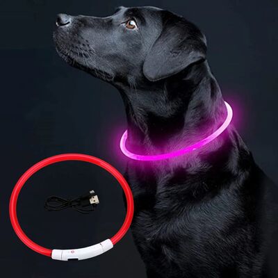 Collier-pour-chien-Luminus™-Rouge