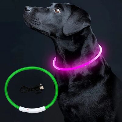 Collier-pour-chien-Luminus™-Vert