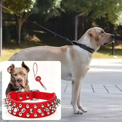 Collier-pour-chien-Rocky™-Rouge
