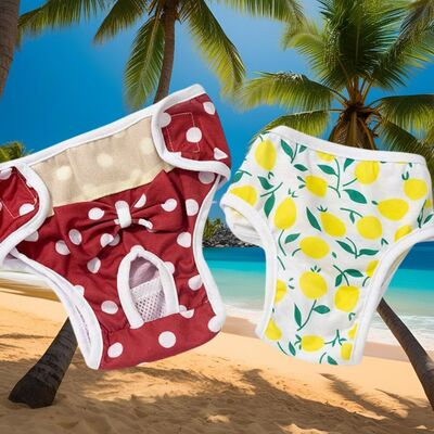 Couche-pour-chien-Physio-Panty™-Ecolofriendy
