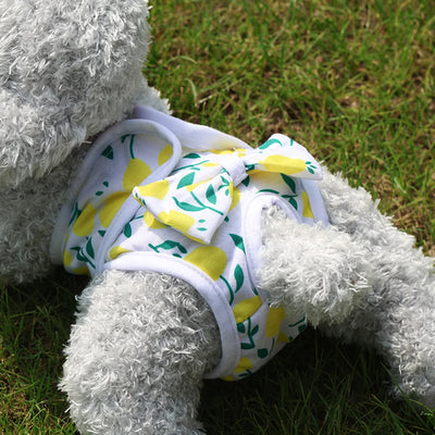 Couche-pour-chien-Physio-Panty™-Elegante