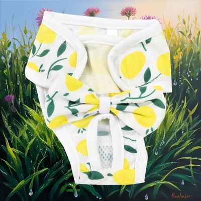 Couche-pour-chien-Physio-Panty™-Jaue