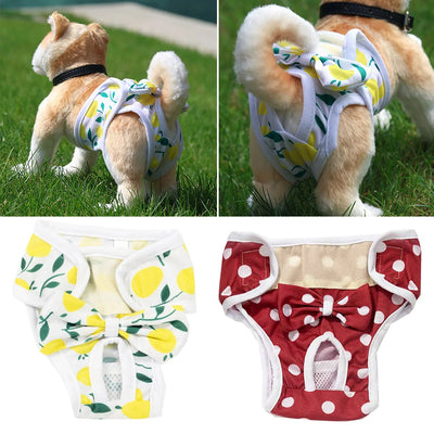 Couche-pour-chien-Physio-Panty™-Mosaïques