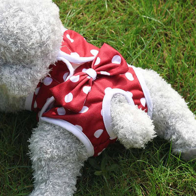 Couche-pour-chien-Physio-Panty™-Jolie