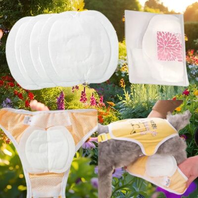 Couche-pour-chien-Protège-Culotte-Msaïques