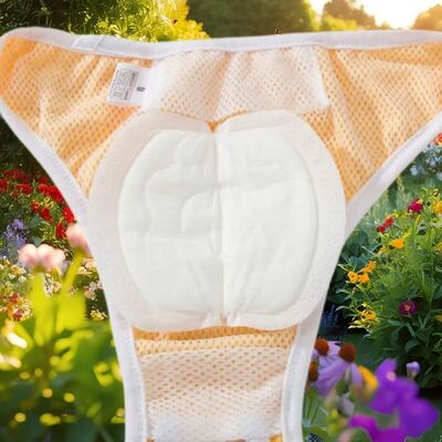 Couche-pour-chien-Protège-Culotte-Femelle
