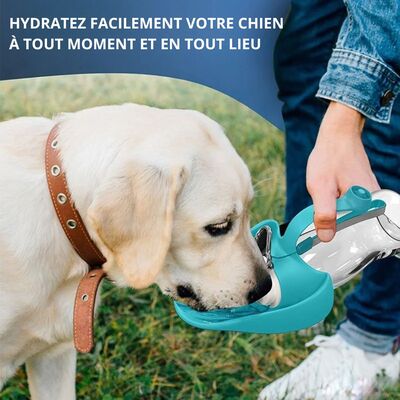 Gourdes-pour-chiens-Unive-Adapt™-Présentation