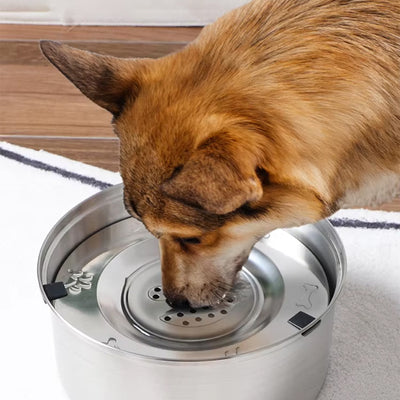 Gamelle-chien-Abreuve-sec™-Sec