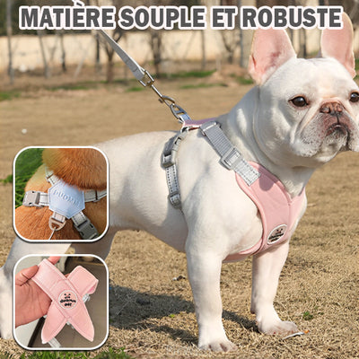 Harnais chien | Beauty-Pet™