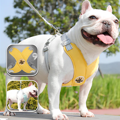 Harnais-chien-Beauty-Pet™-Jaune