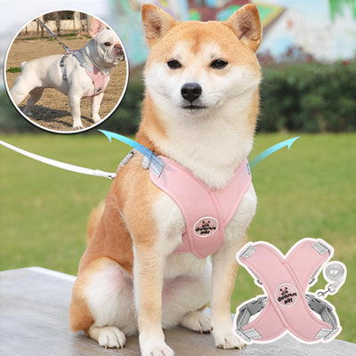 Harnais-chien-Beauty-Pet™-Rose
