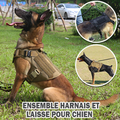 Harnais-chien-Cani-Rando™-Ensemble