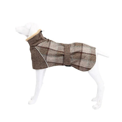 Manteau-chien-Kilty-Pett™-Café-léger