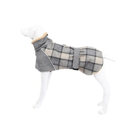 Manteau-chien-Kilty-Pett™-Gris