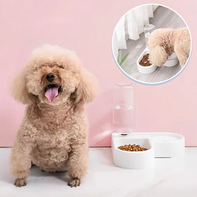 La-Gamelle-Cœur-Enjoué™-Chiot