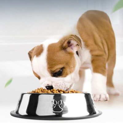 La-Gamelle-Miam-Comfort™-Quatre