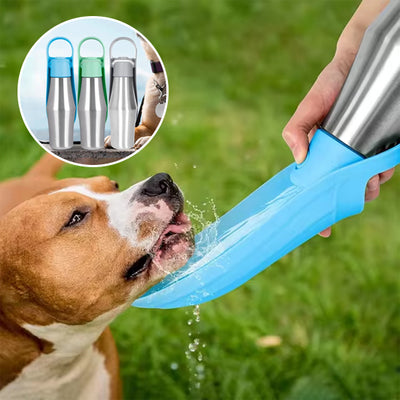 Gourde-chien-Drinking-Leaf™-Présentatio