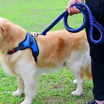 Laisse-pour-chien-Extra-Flexy™-Présentation