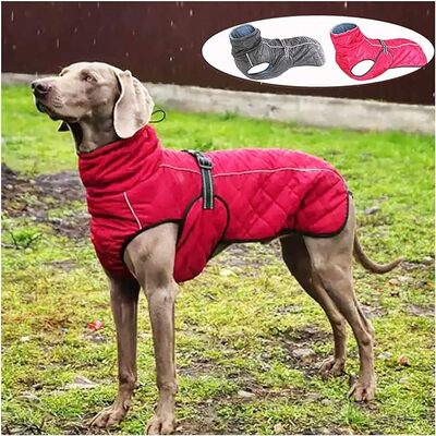 Manteau-chien-Warm-Belly™-Présntation
