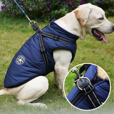 Manteau-pour-chien-Stylus™-Bleu