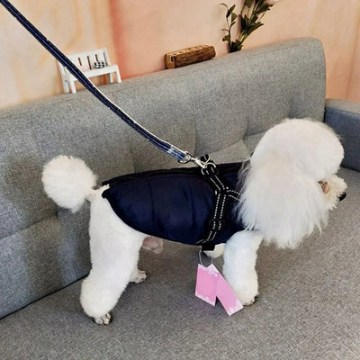 Manteau-pour-chien-Stylus™-Puppy