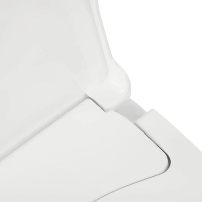 Non-Electric Bidet Toilet Seat Toilet Bidet Lid Fits Elongated Toilets, Dual Nozzle D-shaped with Cleaner Flush Hose