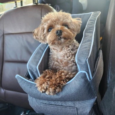 Sac-de-transport-pour-chien-Secure-Dog™-Confortable