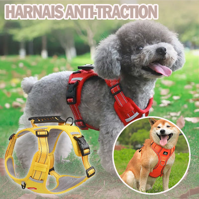 Harnais-anti-traction-Safety-Hound™-Présentation