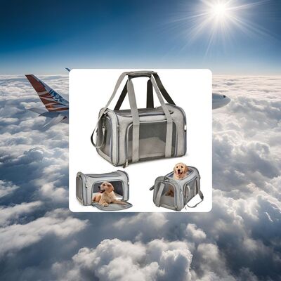 Transport-chien-Dog-In-Plane™️-Envol