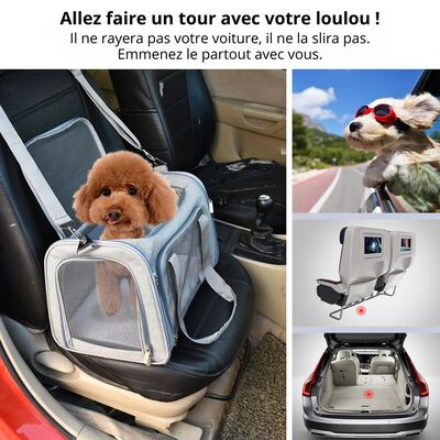 Transport-chien-Dog-In-Plane™️-Promenade