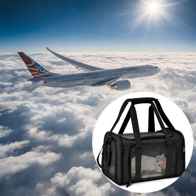 Transport-chien-Dog-In-Plane-Noir