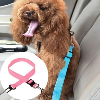 Transport chien | Doggy-Belt™