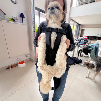 Transport-chien-Happy-Dog™-Grand-Chien