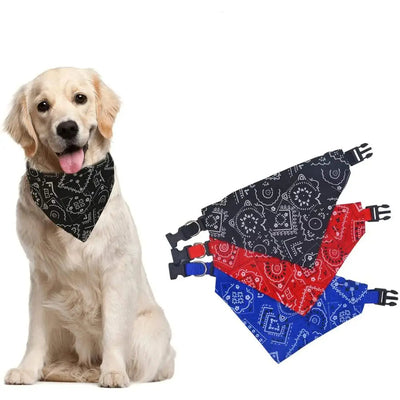 Vêtement pour chien | Chicos™️