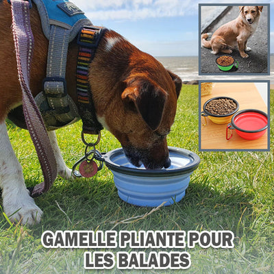 Gamelle Anti Glouton | Pliable